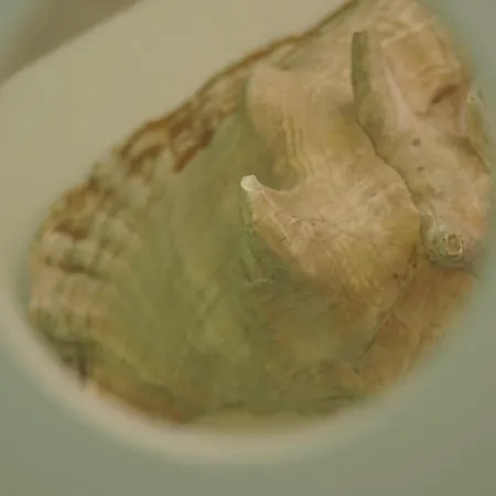 Relax Nel Centro Storico Semesterbostad