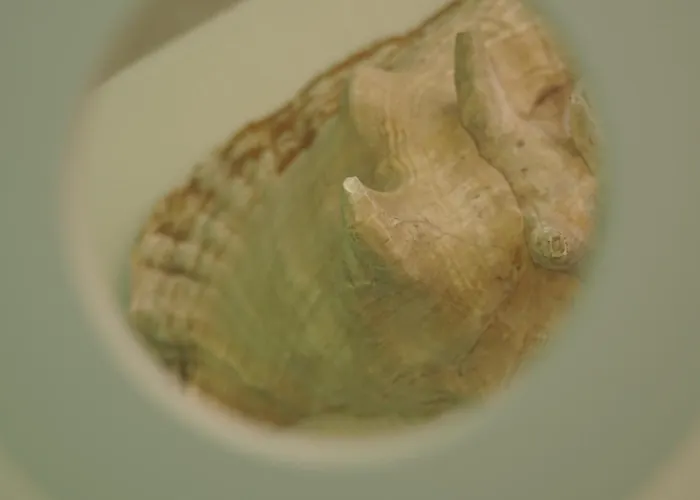 Relax Nel Centro Storico Semesterbostad